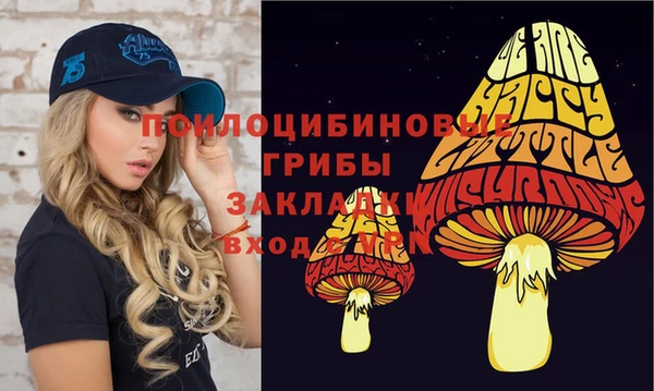 твердый Гусь-Хрустальный